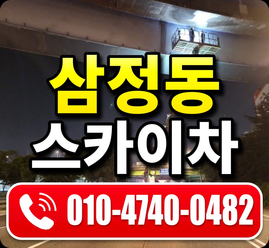 삼정동 스카이차 010-4740-0482