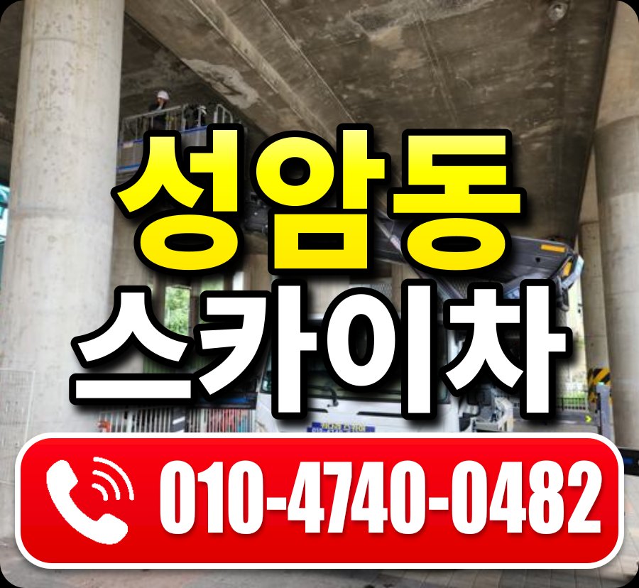 성암동 스카이차 010-4740-0482