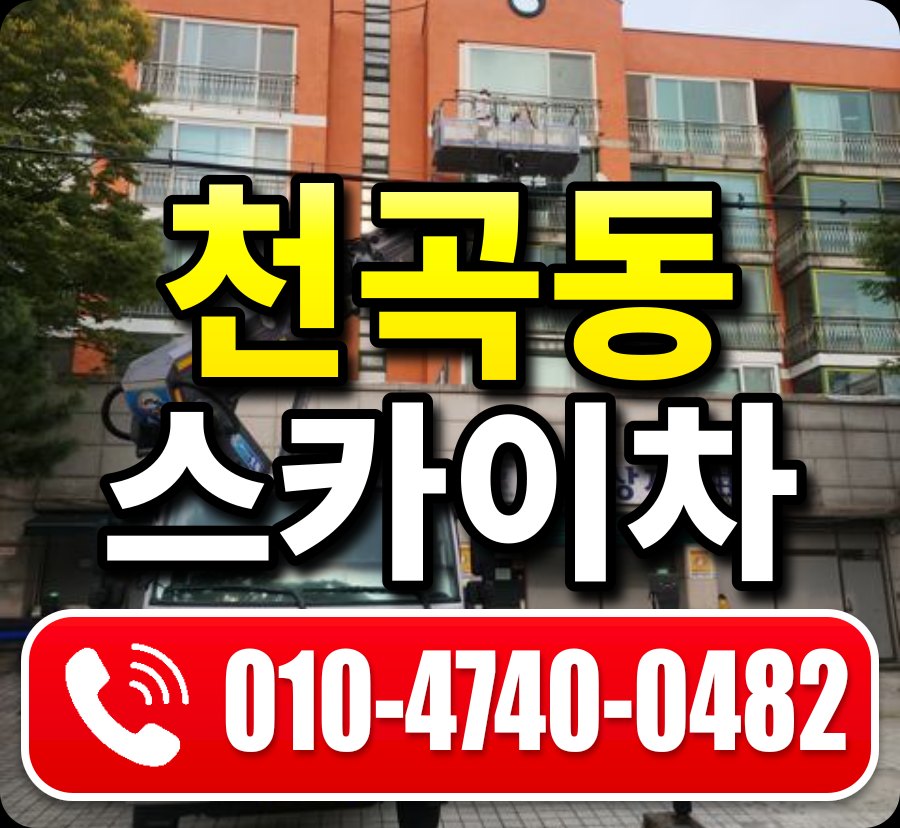 천곡동 스카이차 010-4740-0482