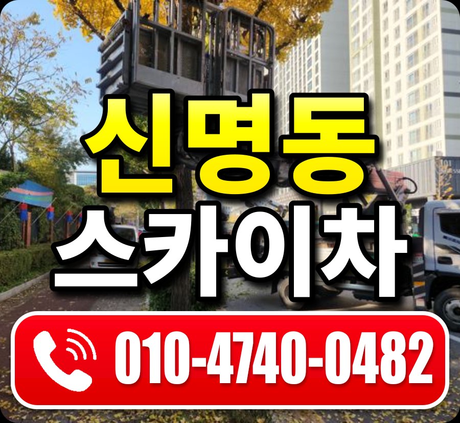 신명동 스카이차 010-4740-0482