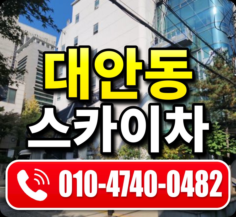 대안동 스카이차 010-4740-0482