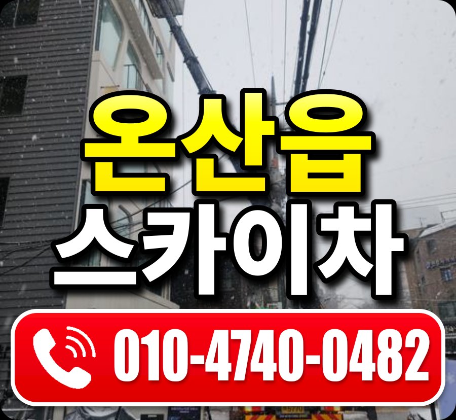 온산읍 스카이차 010-4740-0482