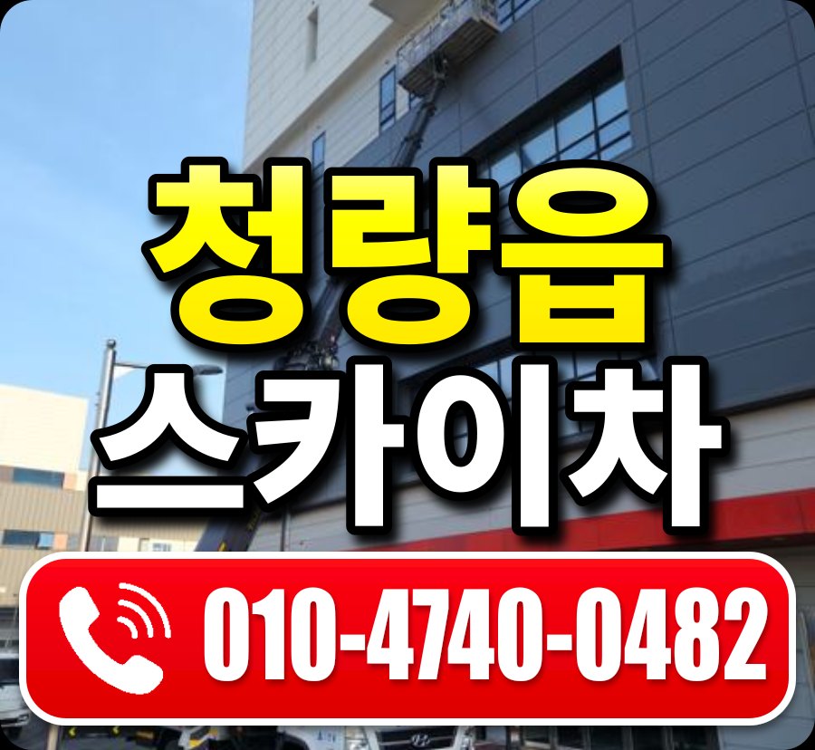 청량읍 스카이차 010-4740-0482