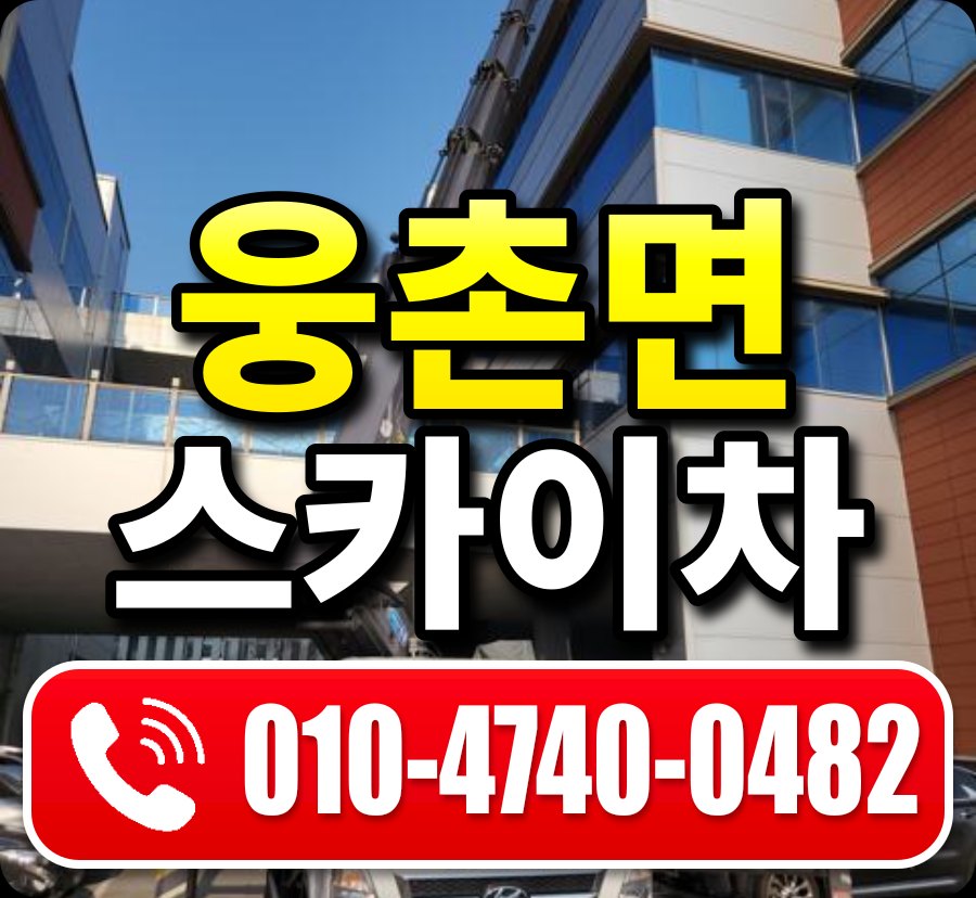 웅촌면 스카이차 010-4740-0482