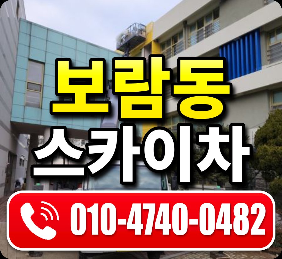 보람동 스카이차 010-4740-0482