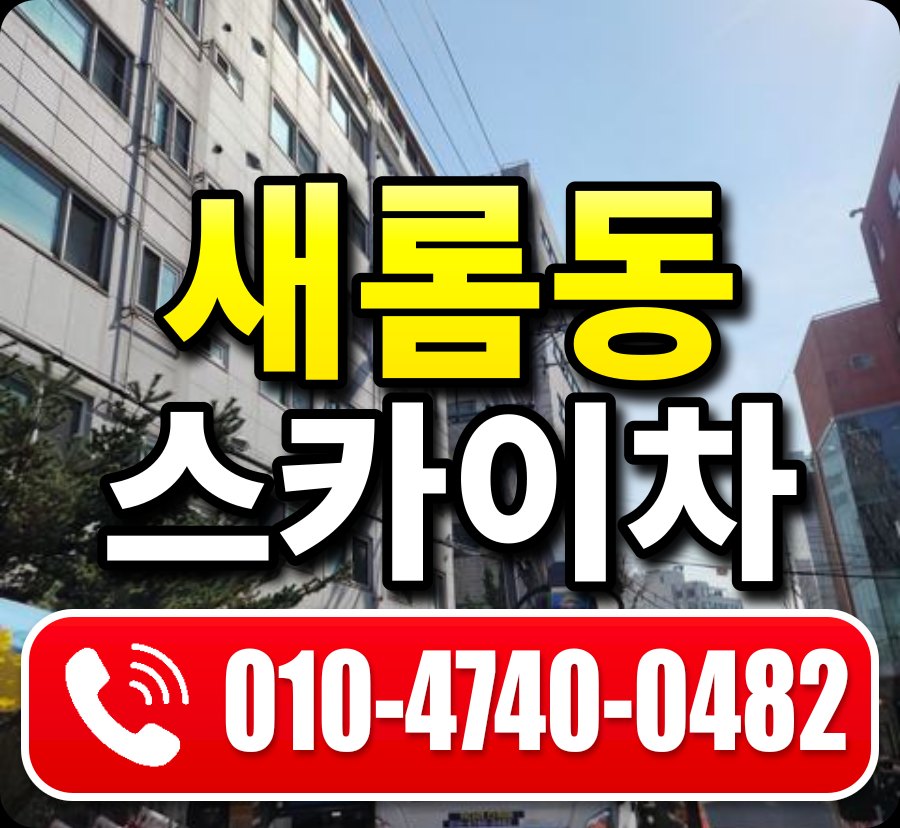 새롬동 스카이차 010-4740-0482