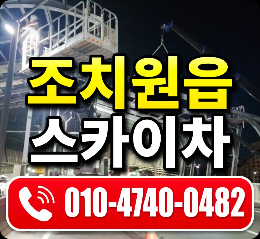 조치원읍 스카이차 010-4740-0482