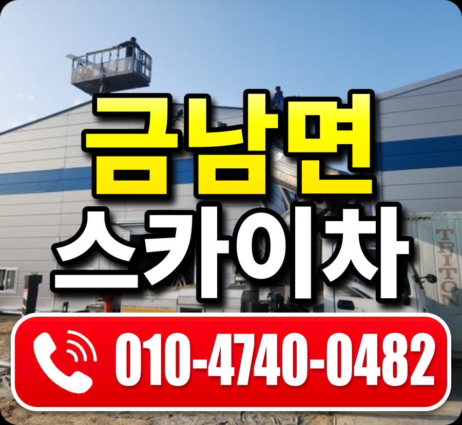 금남면 스카이차 010-4740-0482