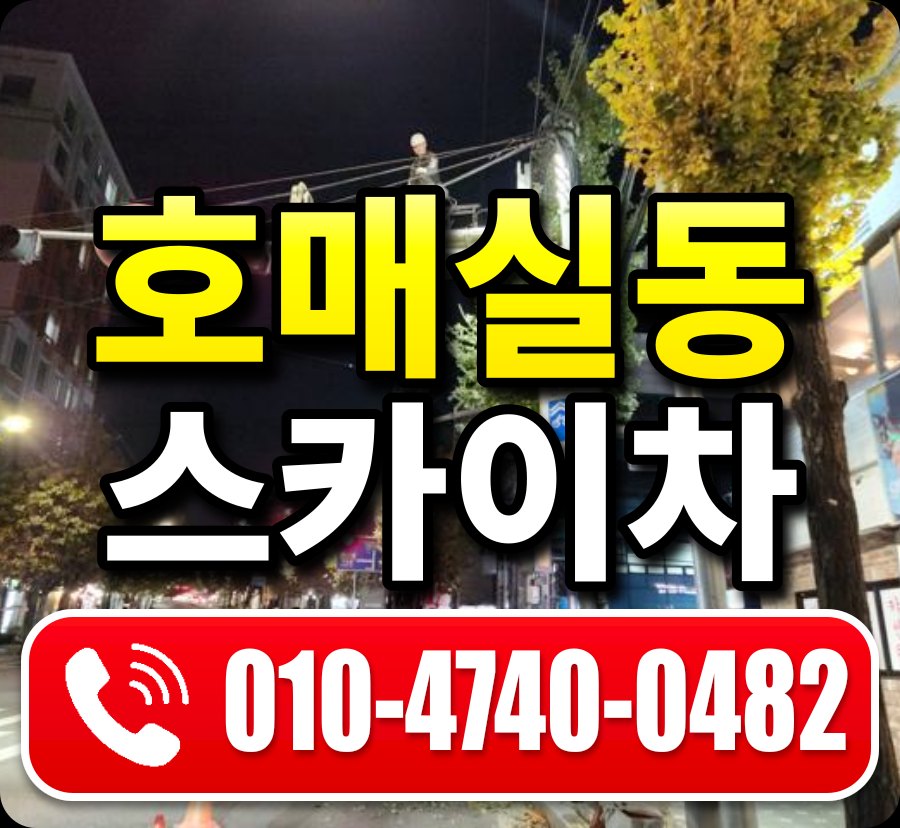 호매실동 스카이차 010-4740-0482