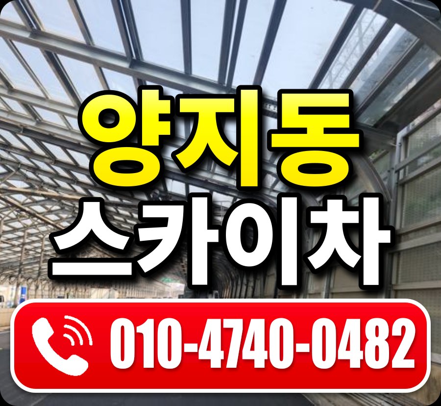 양지동 스카이차 010-4740-0482