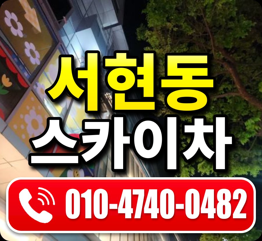 서현동 스카이차 010-4740-0482
