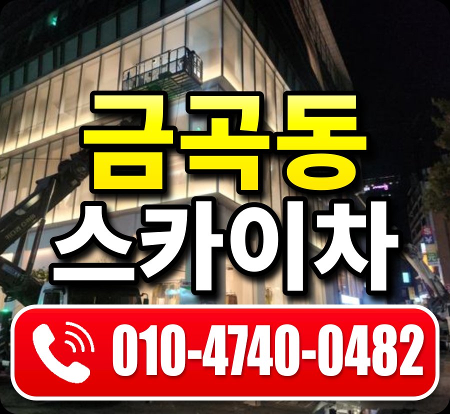 금곡동 스카이차 010-4740-0482