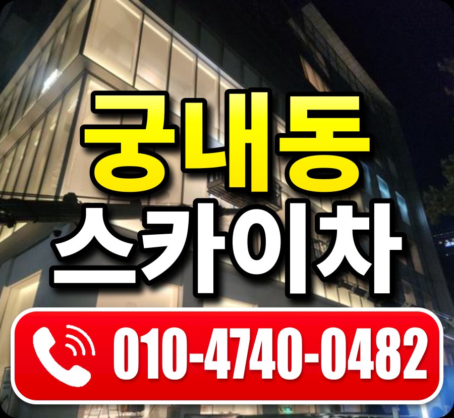궁내동 스카이차 010-4740-0482
