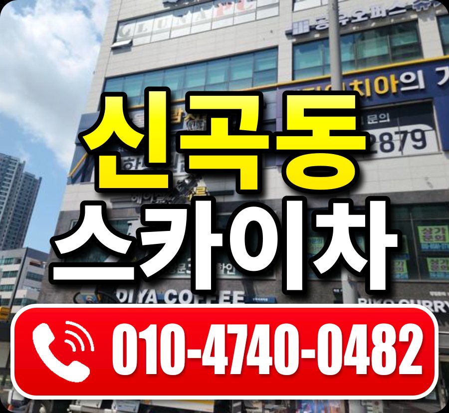 신곡동 스카이차 010-4740-0482