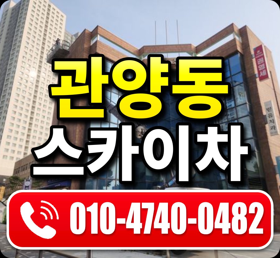 관양동 스카이차 010-4740-0482