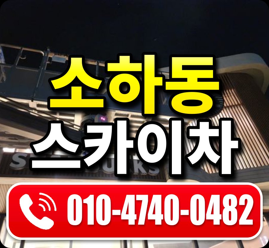 소하동 스카이차 010-4740-0482