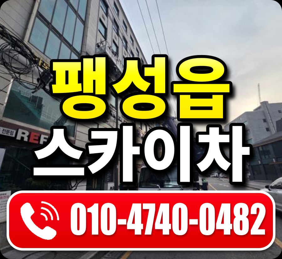 팽성읍 스카이차 010-4740-0482