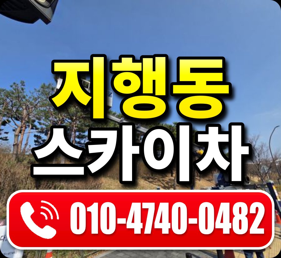 지행동 스카이차 010-4740-0482
