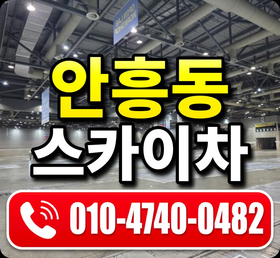 안흥동 스카이차 010-4740-0482