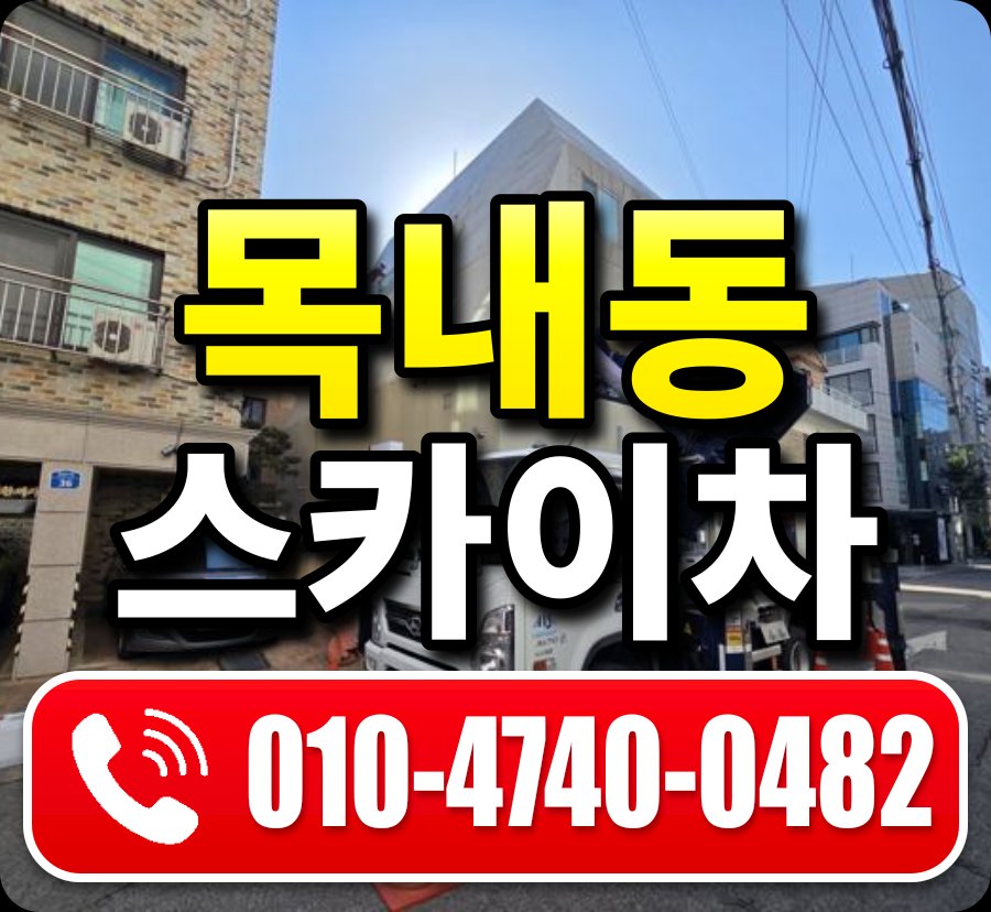 목내동 스카이차 010-4740-0482
