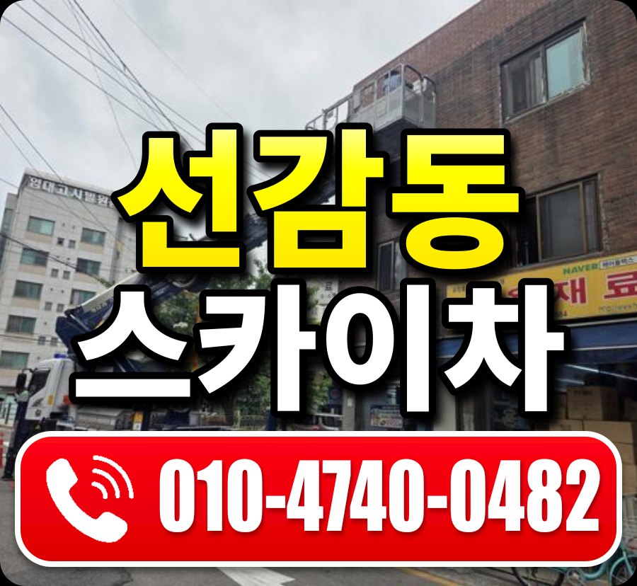 선감동 스카이차 010-4740-0482