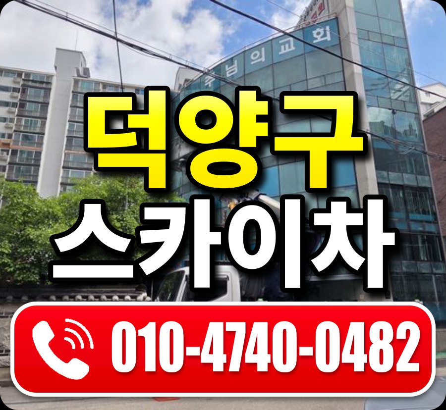 덕양구 스카이차 010-4740-0482