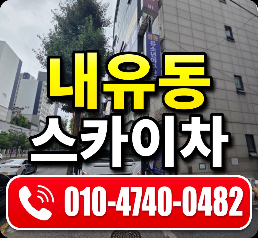 내유동 스카이차 010-4740-0482