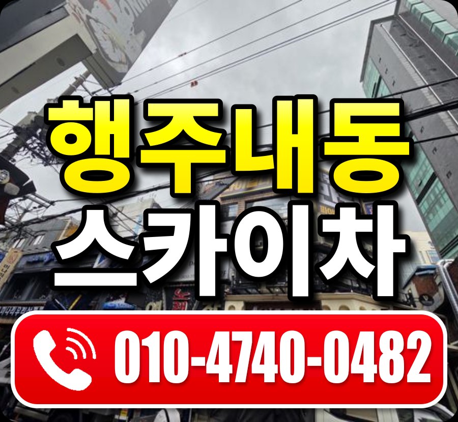 행주내동 스카이차 010-4740-0482