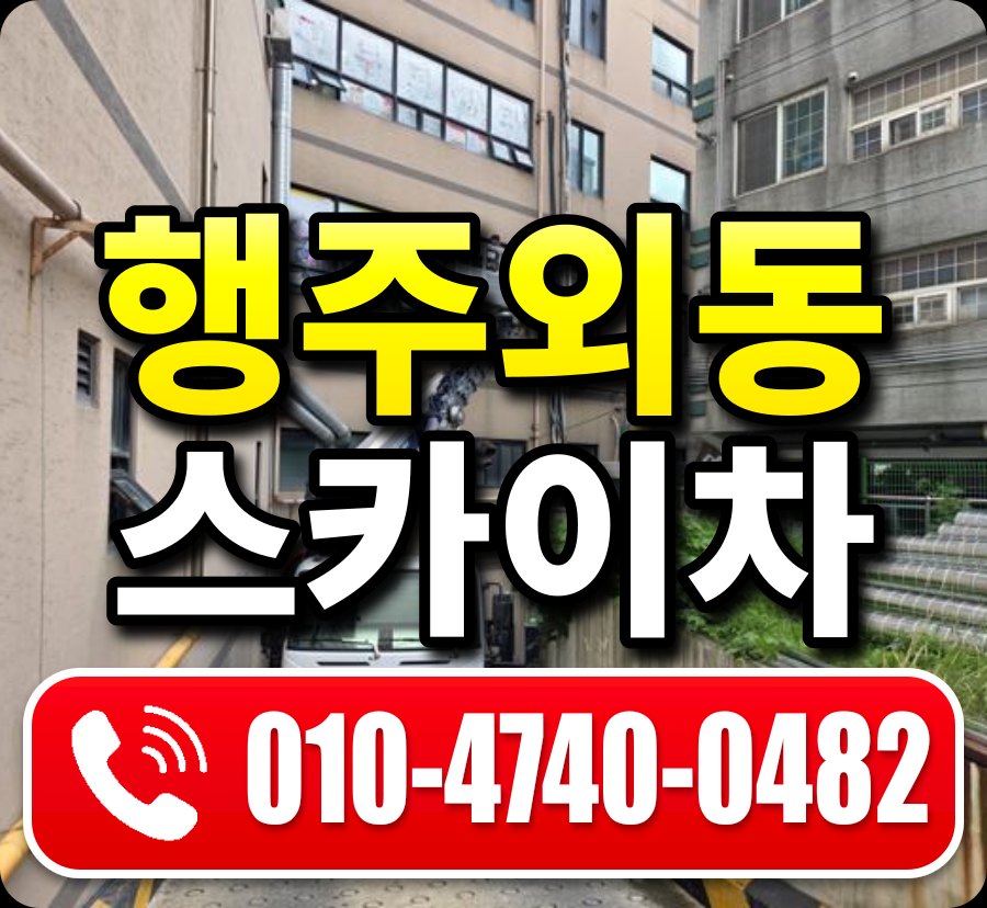 행주외동 스카이차 010-4740-0482