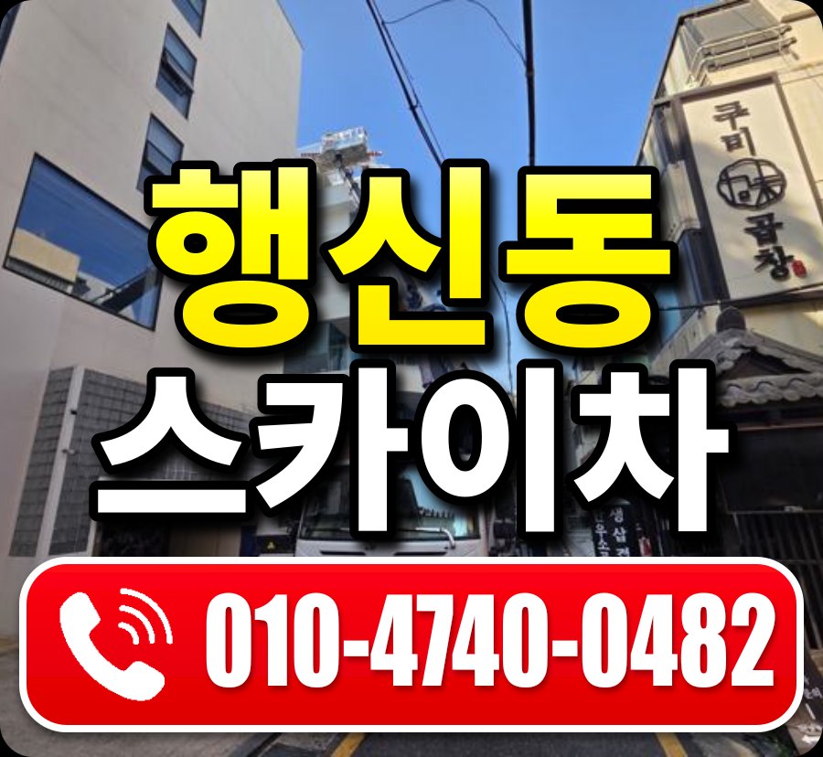 행신동 스카이차 010-4740-0482