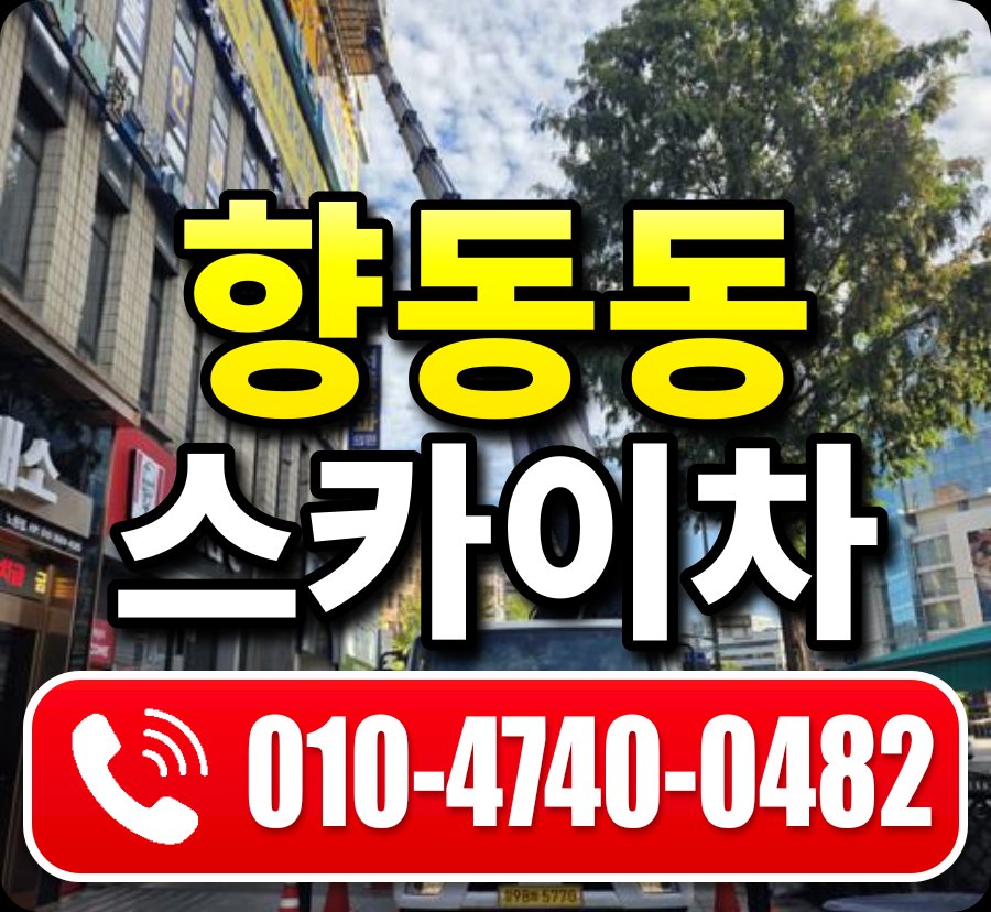 향동동 스카이차 010-4740-0482