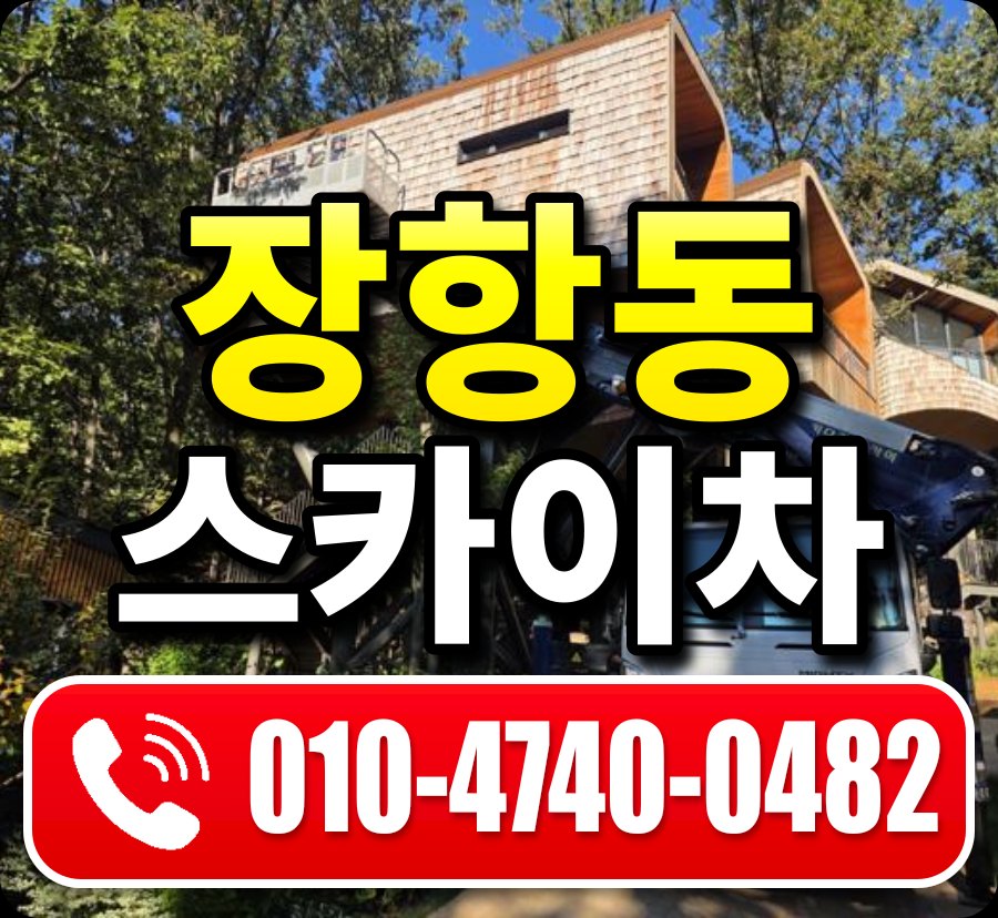 장항동 스카이차 010-4740-0482