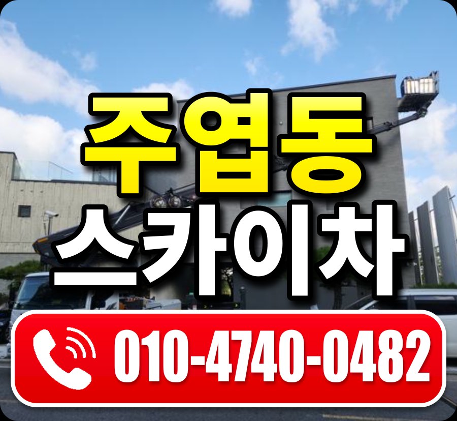 주엽동 스카이차 010-4740-0482