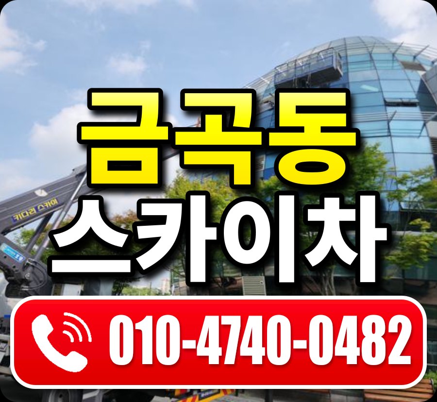 금곡동 스카이차 010-4740-0482