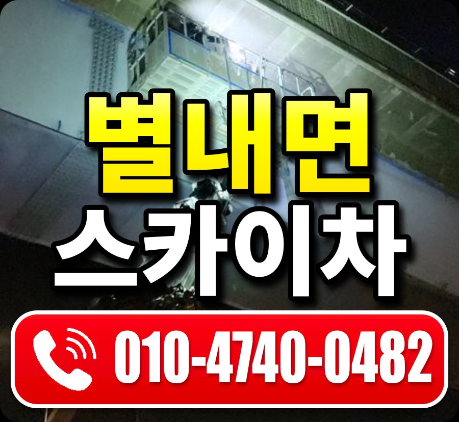 별내면 스카이차 010-4740-0482
