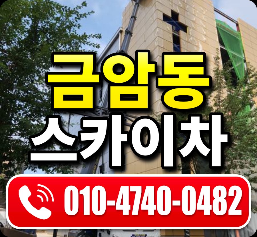 금암동 스카이차 010-4740-0482