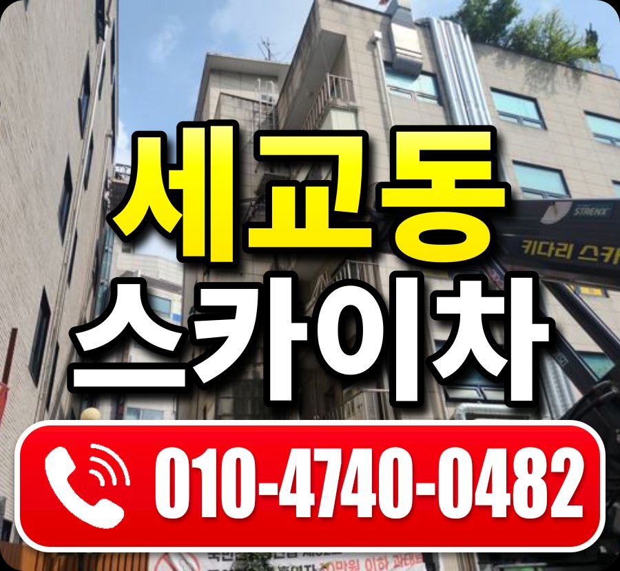 세교동 스카이차 010-4740-0482
