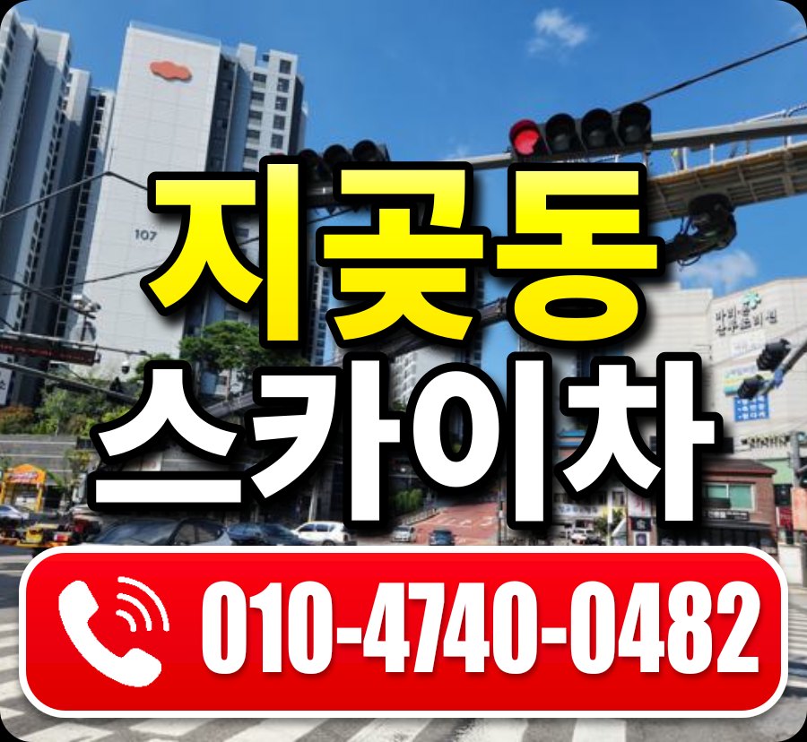 지곶동 스카이차 010-4740-0482
