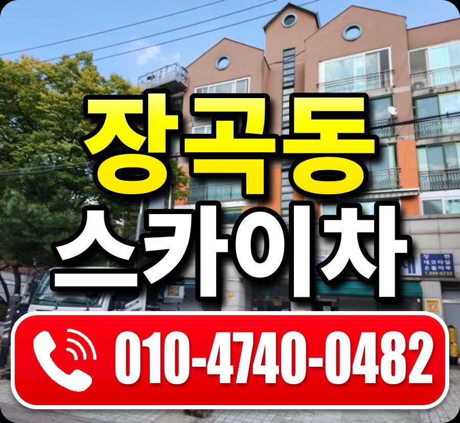 장곡동 스카이차 010-4740-0482