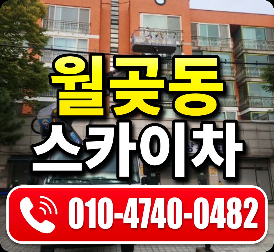 월곶동 스카이차 010-4740-0482