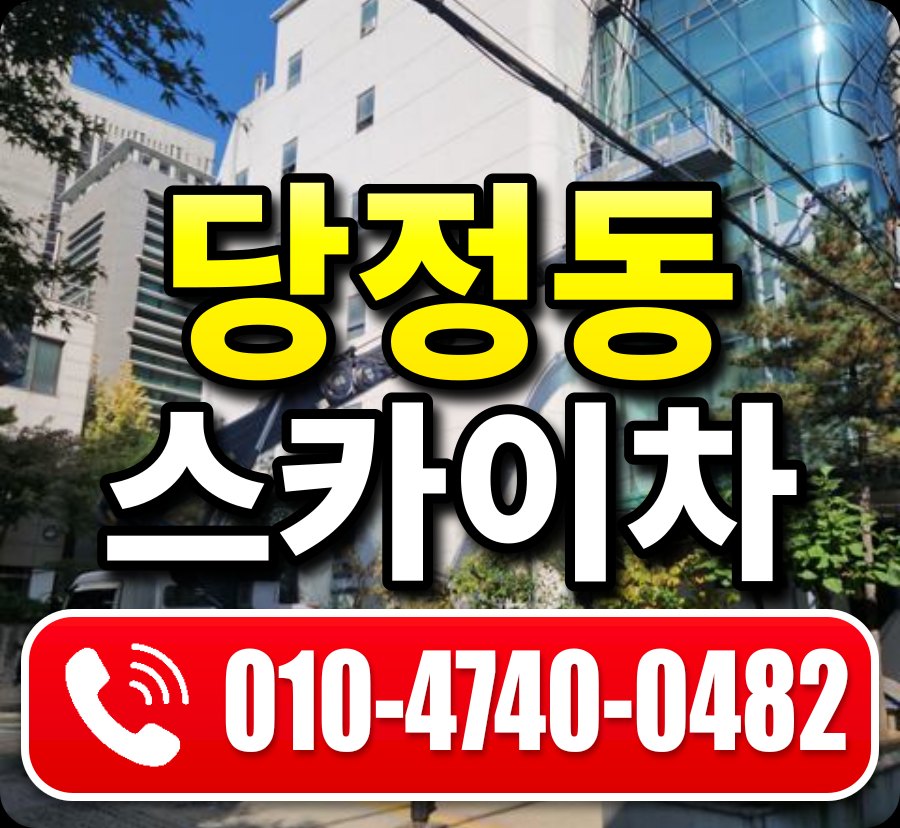당정동 스카이차 010-4740-0482