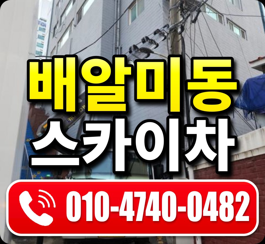 배알미동 스카이차 010-4740-0482