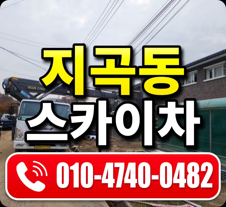 지곡동 스카이차 010-4740-0482