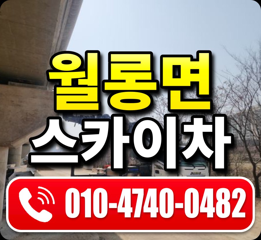 월롱면 스카이차 010-4740-0482