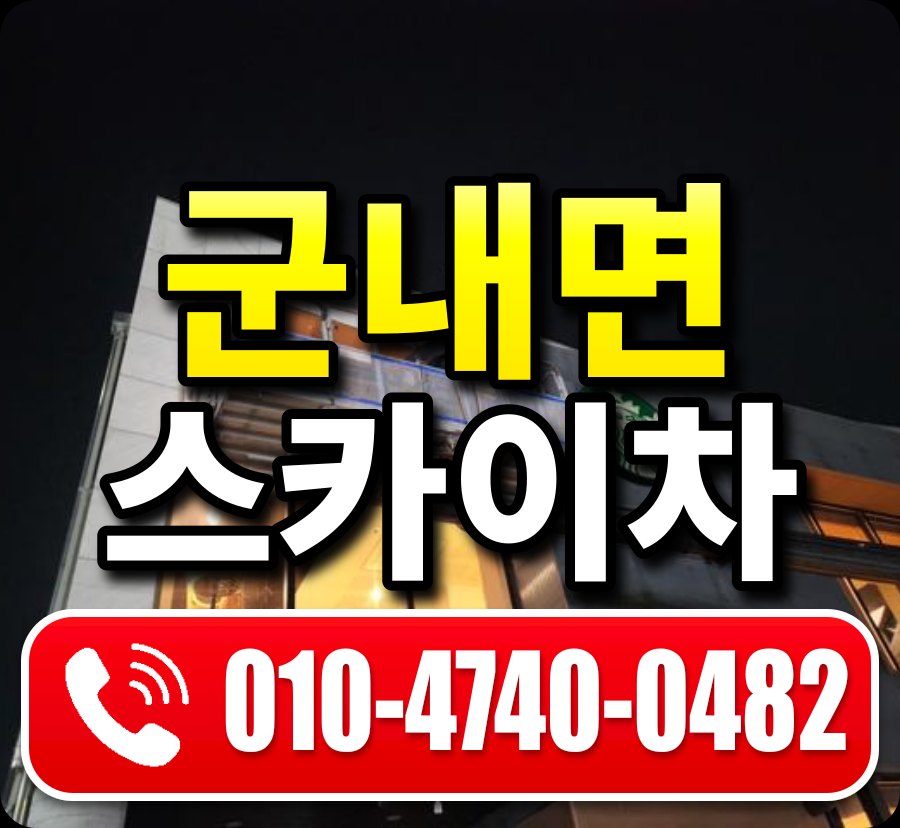 군내면 스카이차 010-4740-0482