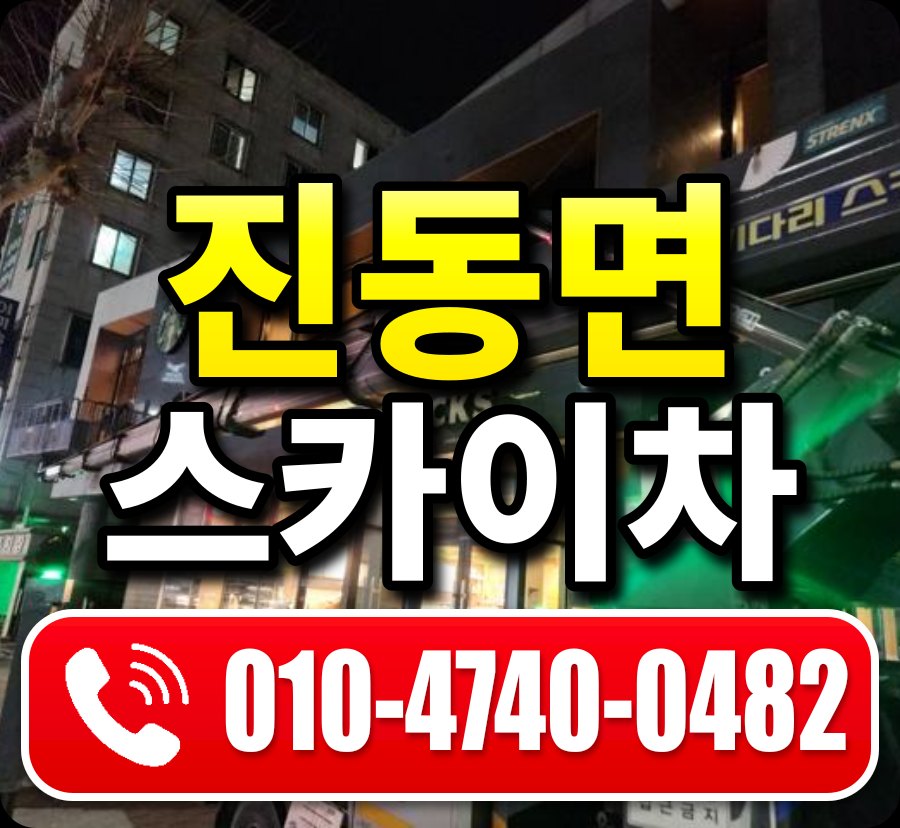 진동면 스카이차 010-4740-0482