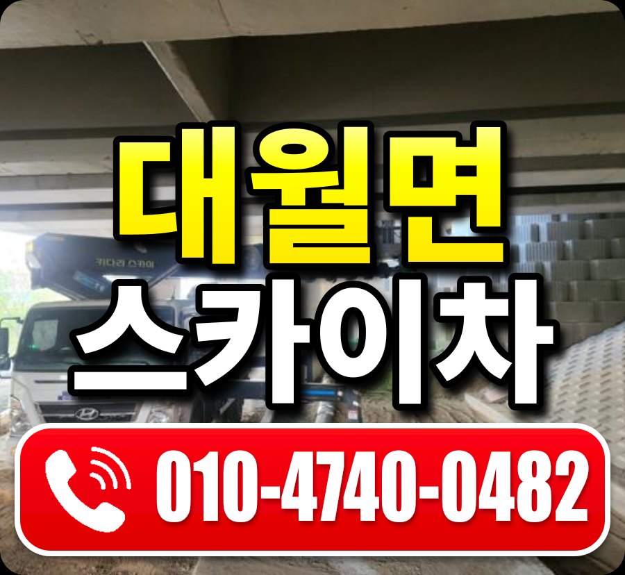 대월면 스카이차 010-4740-0482