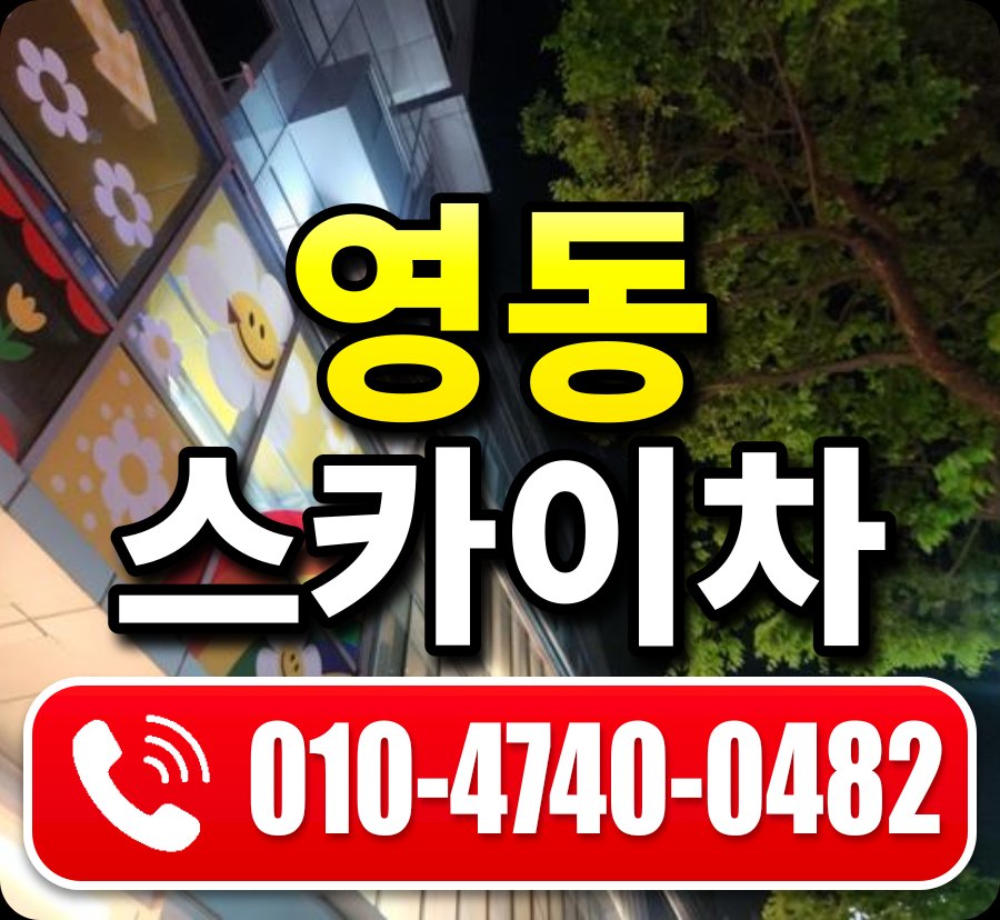 영동 스카이차 010-4740-0482