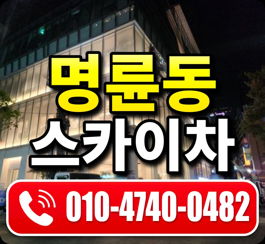명륜동 스카이차 010-4740-0482
