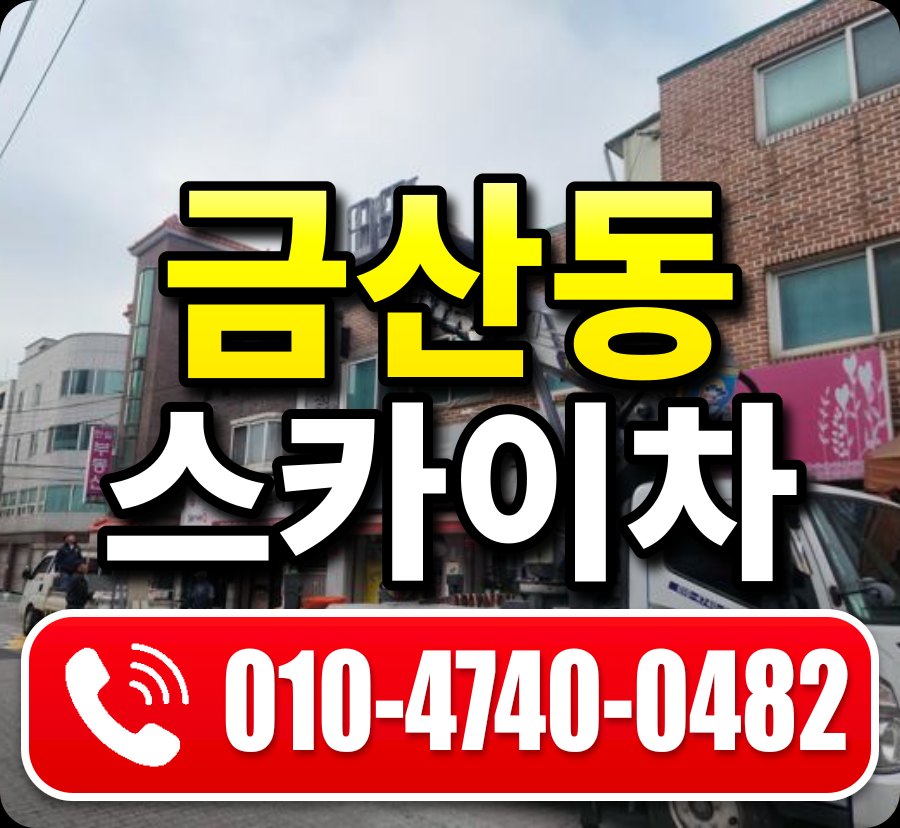 금산동 스카이차 010-4740-0482